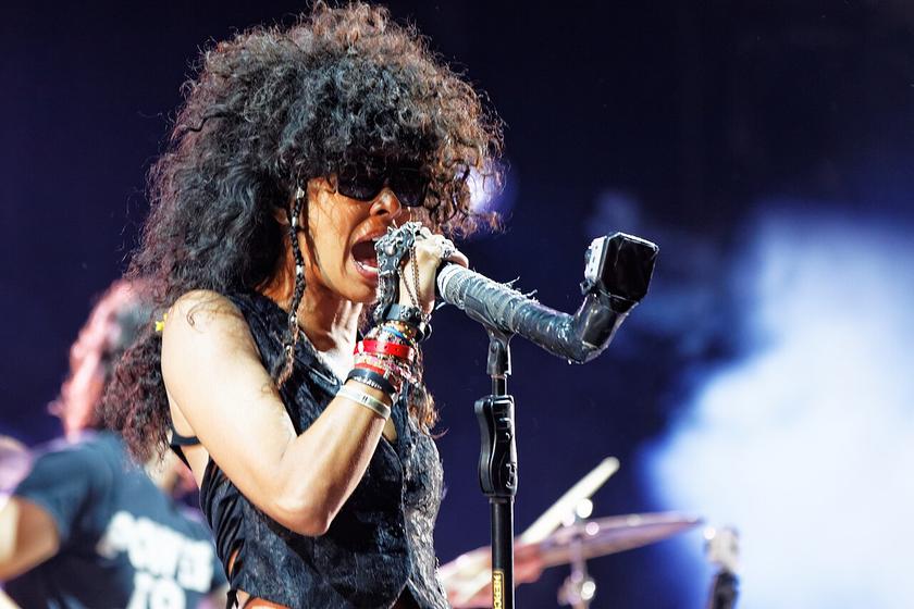 Photo de Shaka Ponk