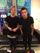 Illustration de « Paladin Strait » par twenty one pilots