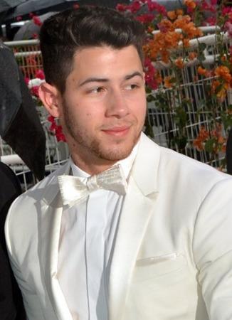 Illustration de « Introducing Me » par Nick Jonas