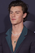 Illustration de « Shawn Mendes » par Shawn Mendes